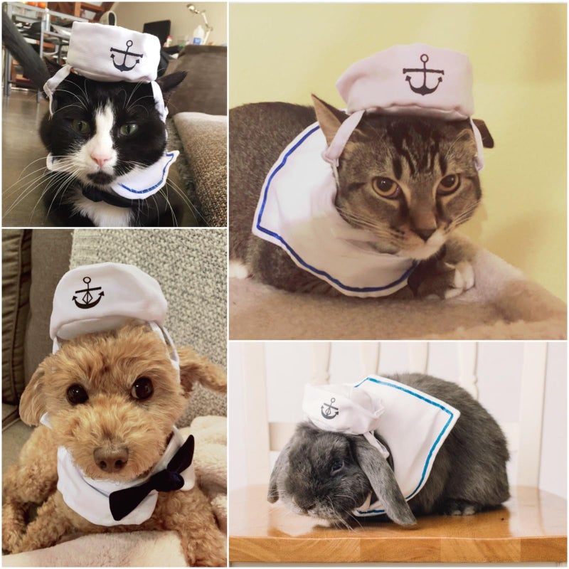 NAMSAN Pet Sailor Costume for Cats Small Dogs, Cat Halloween Costumes, Small Dog Sailor Outfit, Cat Sailors Hat with Tie Collar, Pet Navy Costume for Kitten Puppy Statue Decoration - Image 2